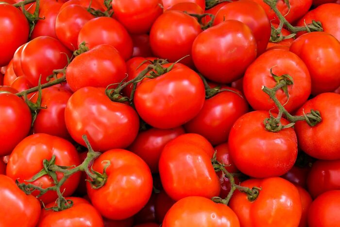 Today I Learned: 47 Surprising Facts Worth Knowing