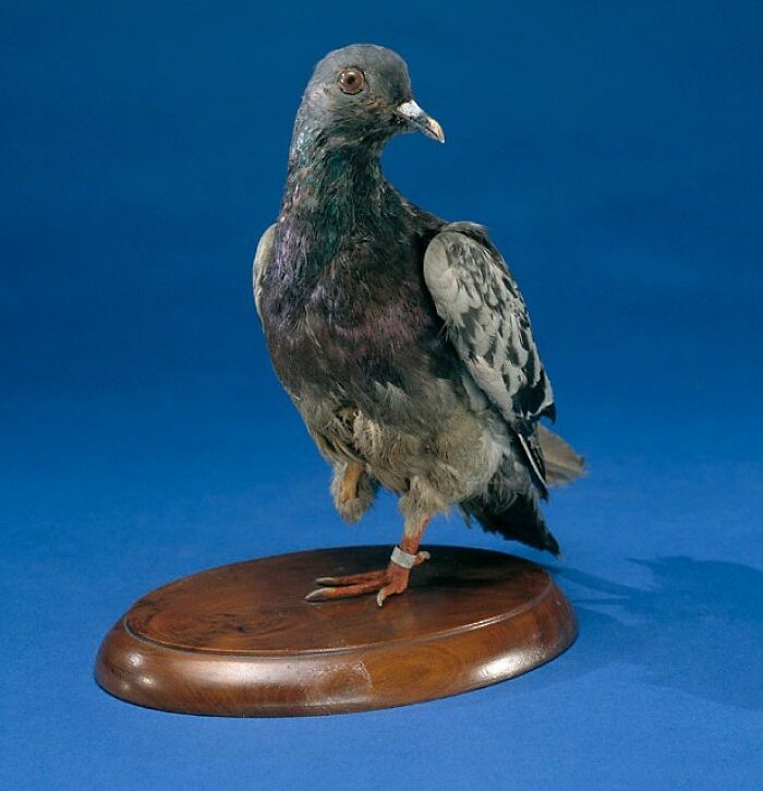 Today I Learned: 47 Surprising Facts Worth Knowing