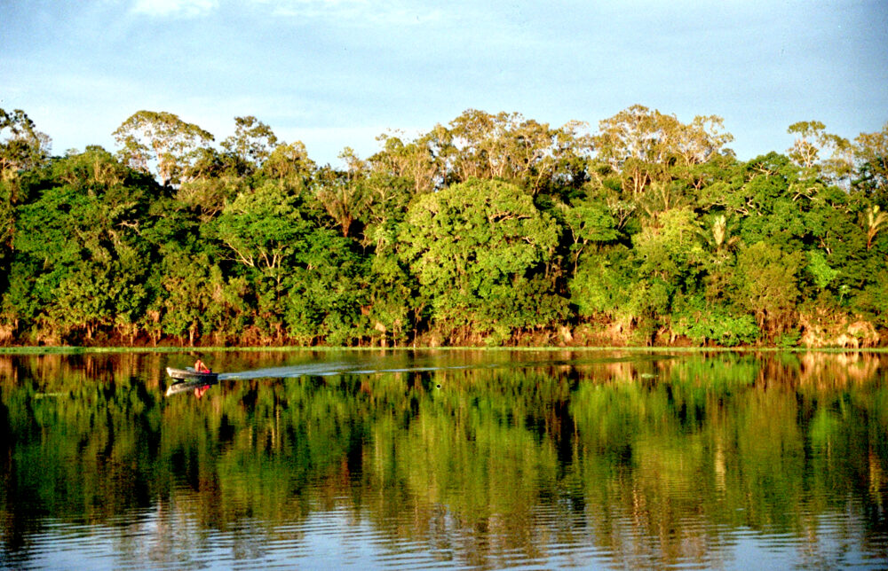 17-rainforest-destinations-around-the-world-filled-with-wildlife-and-color