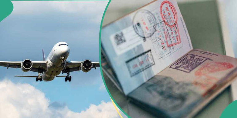 Find out more as US begins visa approval after court issues order on ...