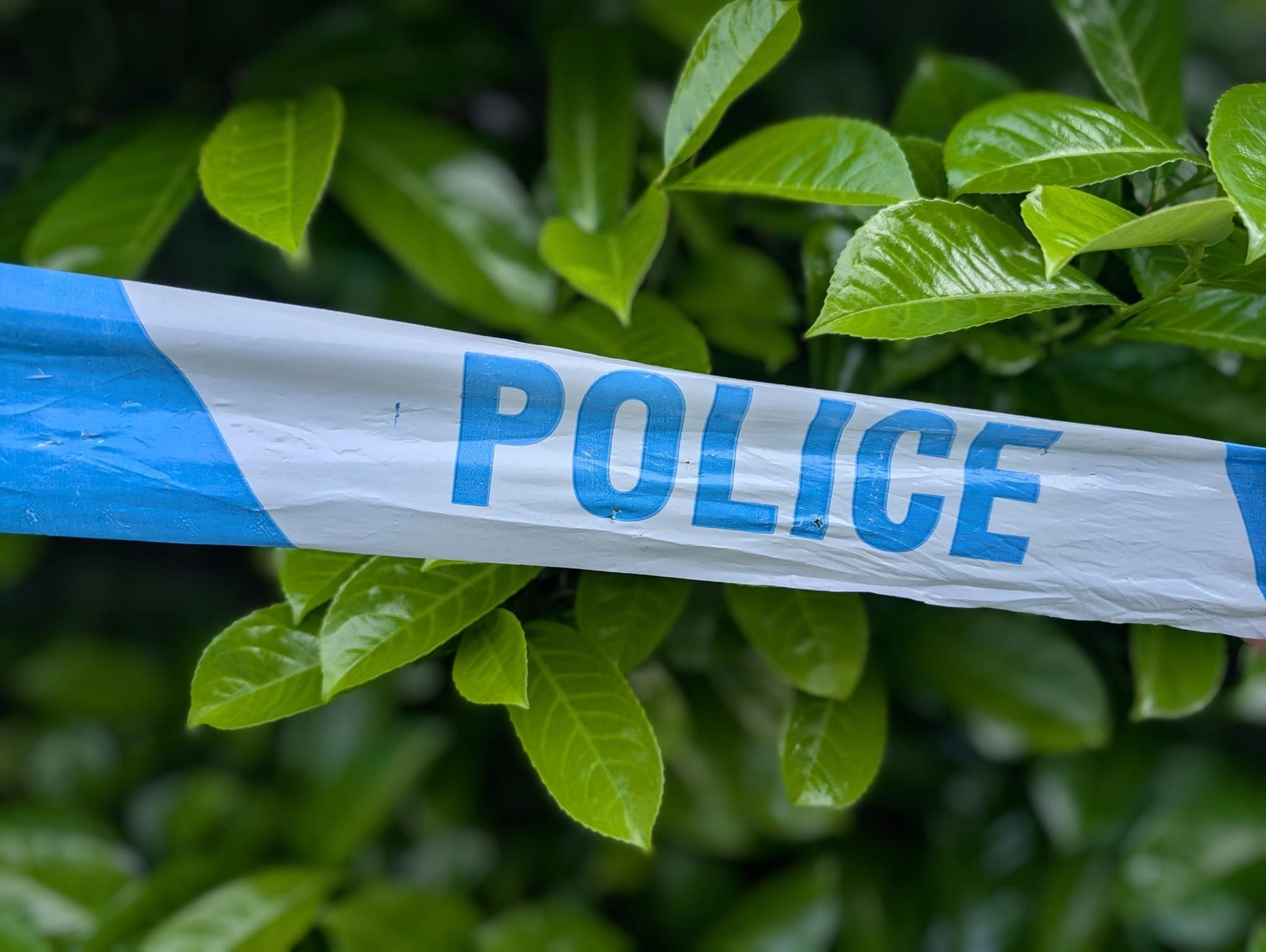 Woman arrested on suspicion of murder after man dies of stab wound in ...