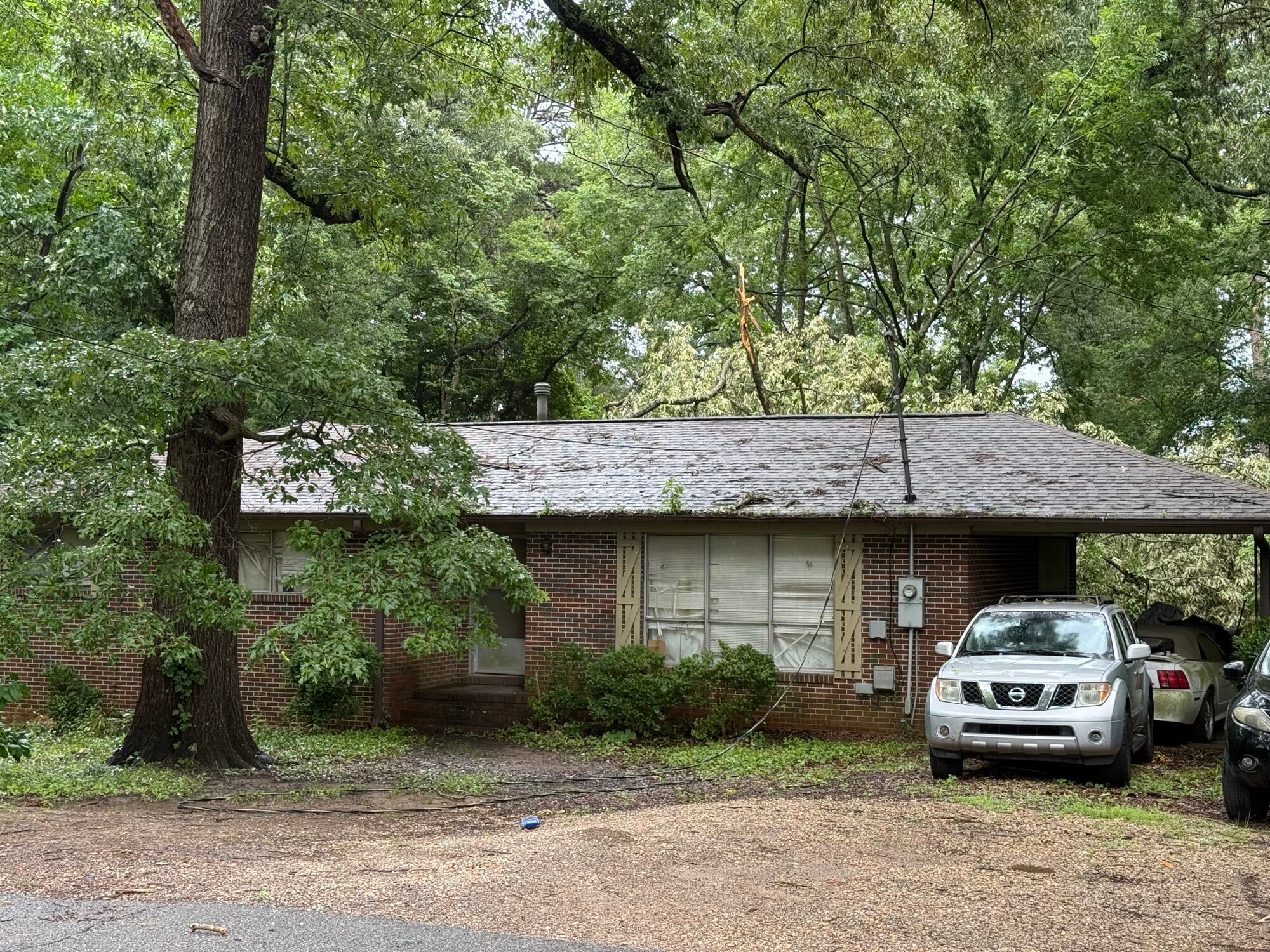 Woman left with minor injuries after tree falls on Forestdale home