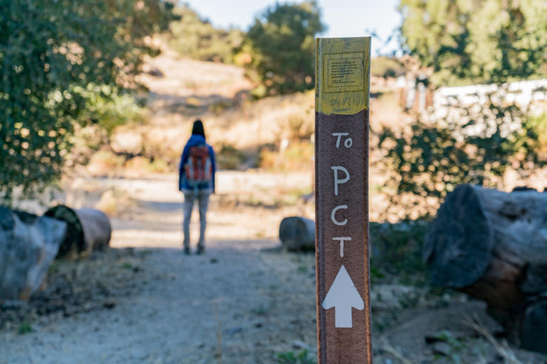 California hikers hit by norovirus outbreak near popular Pacific Crest ...