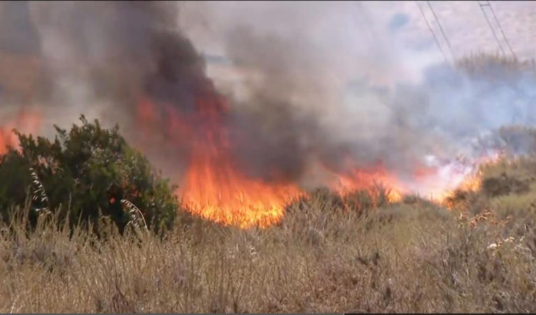 Sorrento Valley brush fire forces evacuations in San Diego