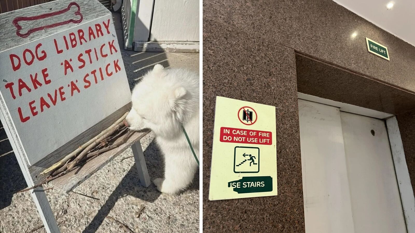 20 funny signs refusing to help anybody