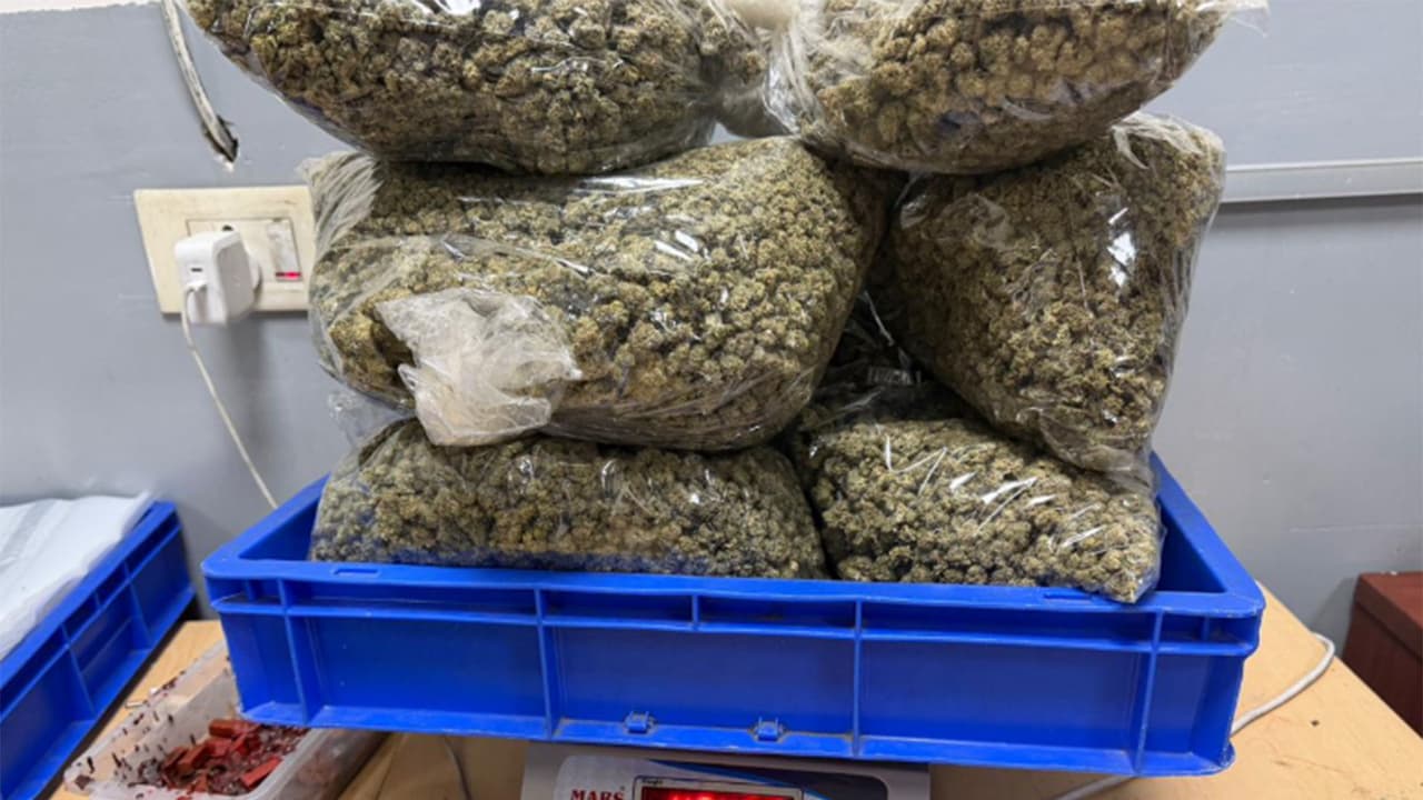 Hydroponic weed worth ₹1.42 crore seized at Delhi's IGI airport