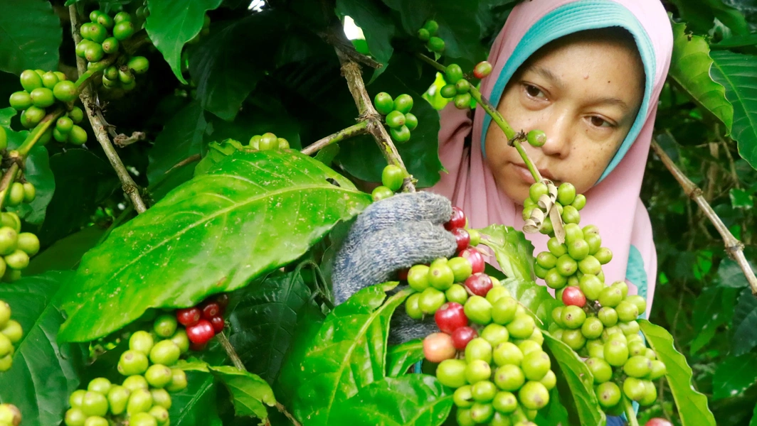 understanding-fair-trade-coffee