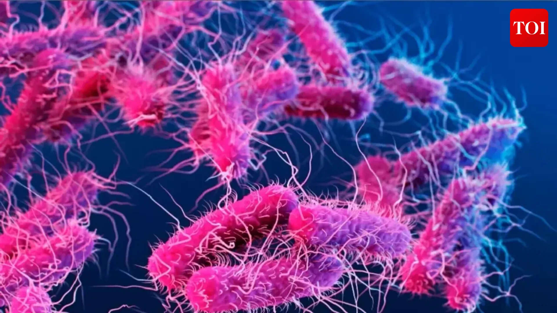 Shigella alert in Kerala: Death of 4-YO sparks concern; early signs ...