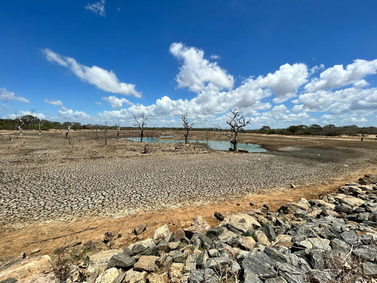 2026 El Nino could rewrite record books: Pacific Ocean could get warmer ...