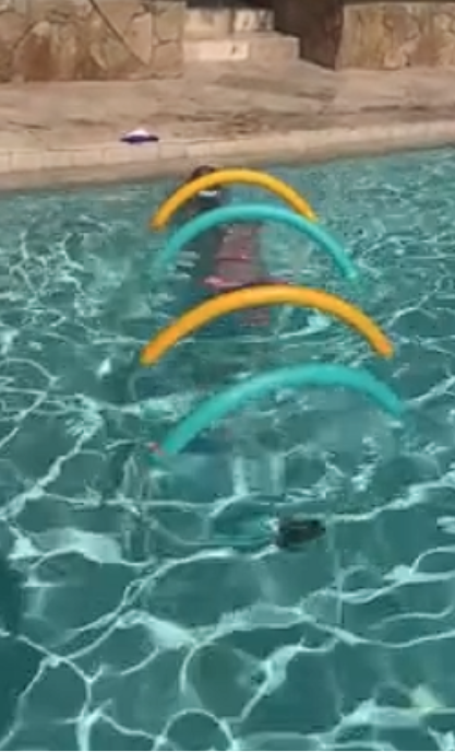 DIY pool game kids will love: Fun swimming pool hack