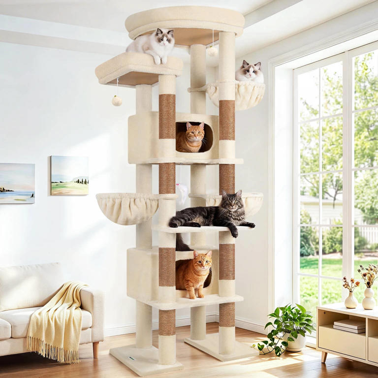 Walmart’s 84-inch cat tree is like a high-rise apartment for kitties ...