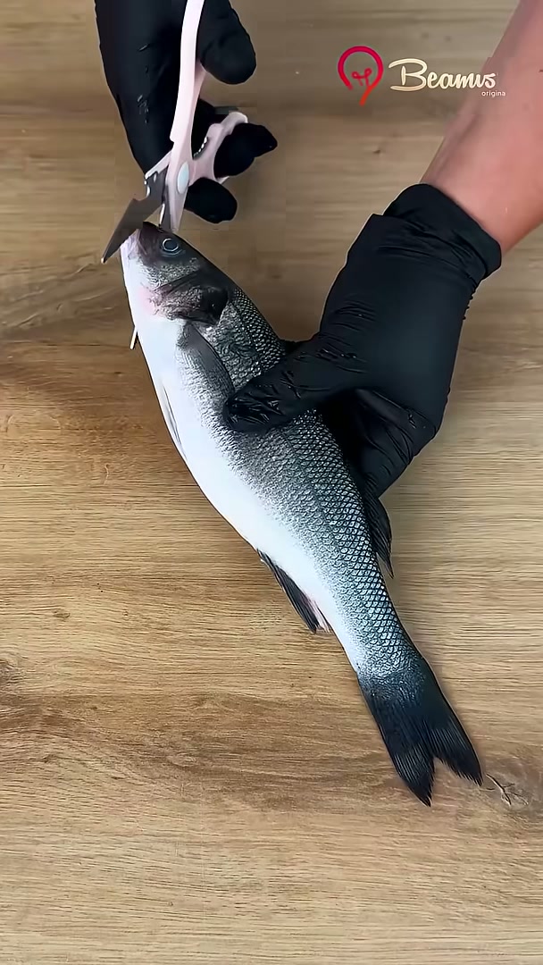Fishing tips and bait tricks to try on your next trip
