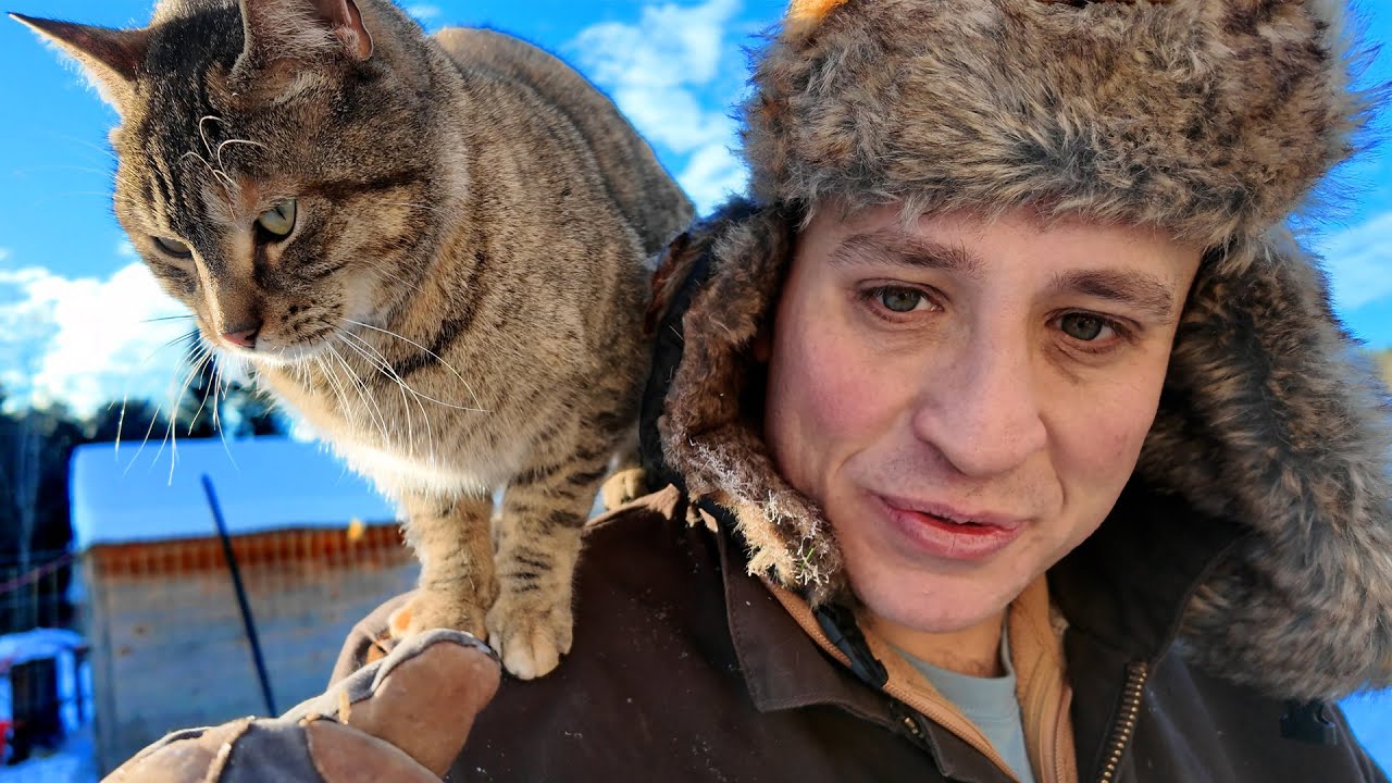 Master winter cat farming to boost your homestead income