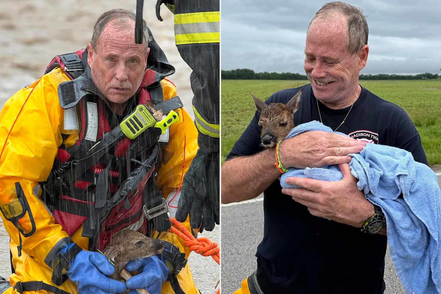 Baby deer saved from fast-moving floodwaters by firefighters: See the ...