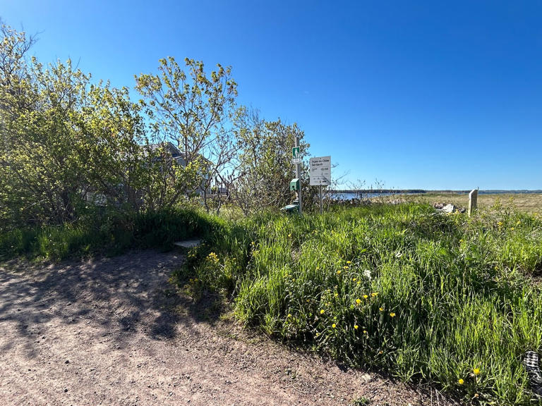 Protected wetland area in Shediac neighbourhood damaged again