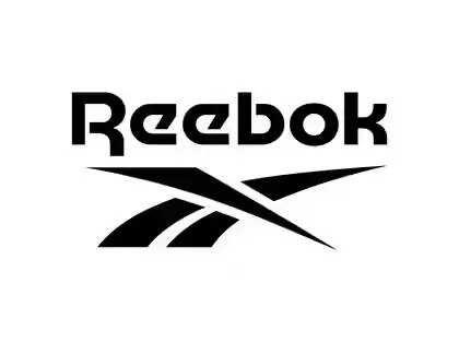 Reebok sales doubled in last 3 yrs, aggressive on growth trajectory ...
