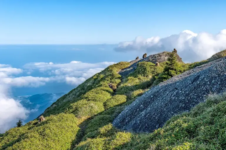 Don't go alone: 7 tourist spots that unsettle even the most experienced ...