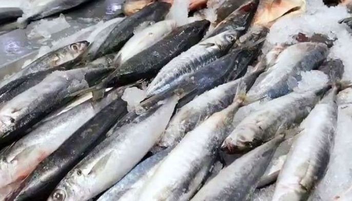 DA eyes regional fisheries hub in Northern Samar