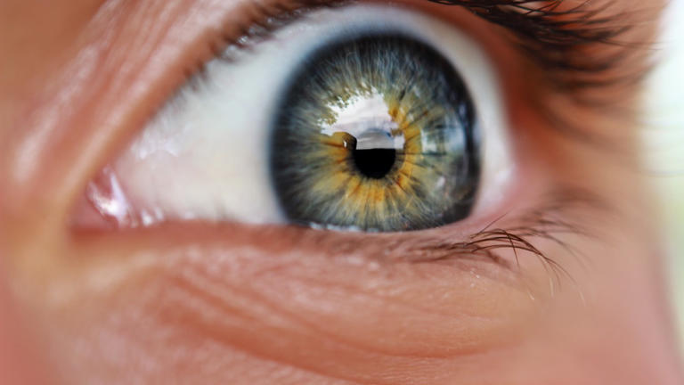 The human eye can distinguish about 10 million colors