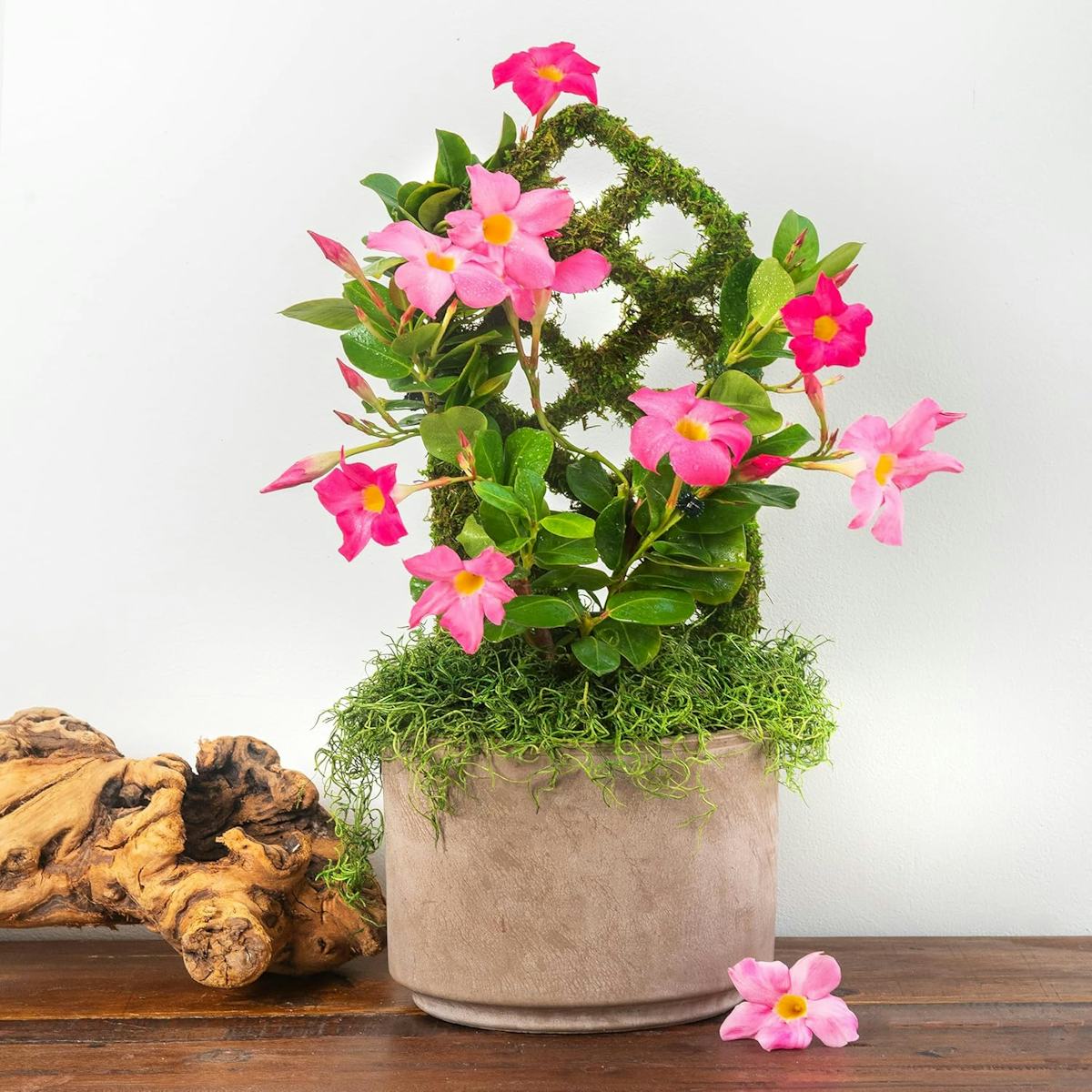 60 Weird Hacks That Make Your Home Look Way More Expensive