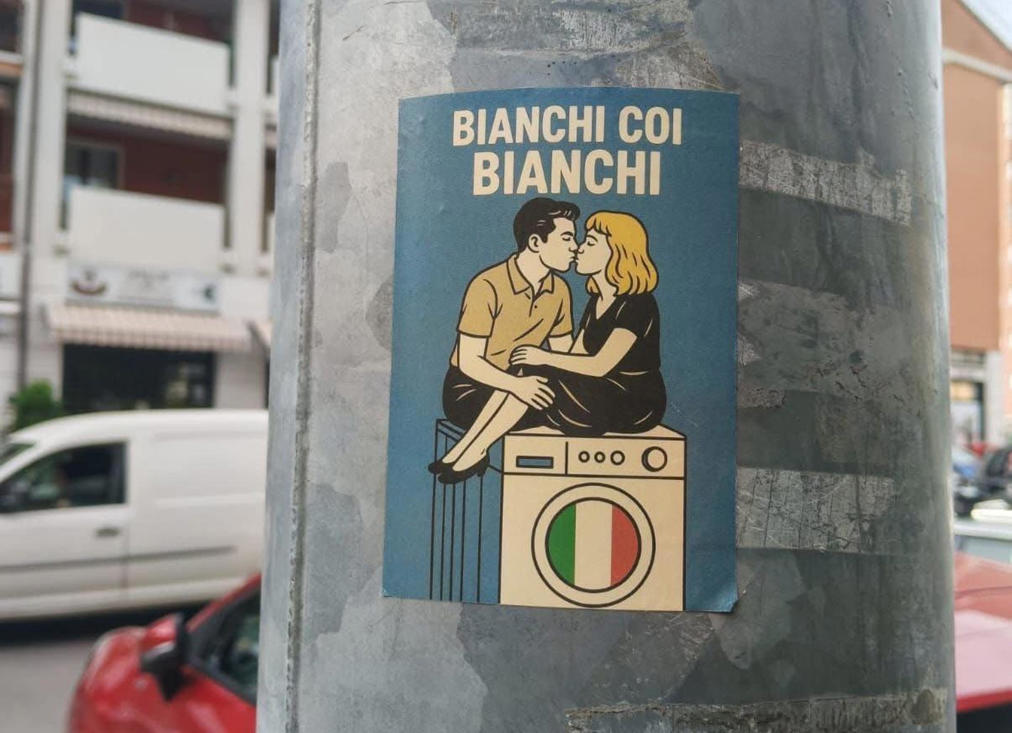 'Bianchi coi bianchi', assessora denuncia adesivi razzisti a Verona