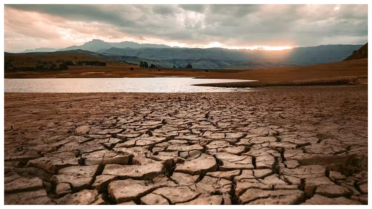 El Nino may become strong by end September, but no cause for panic: IMD DG