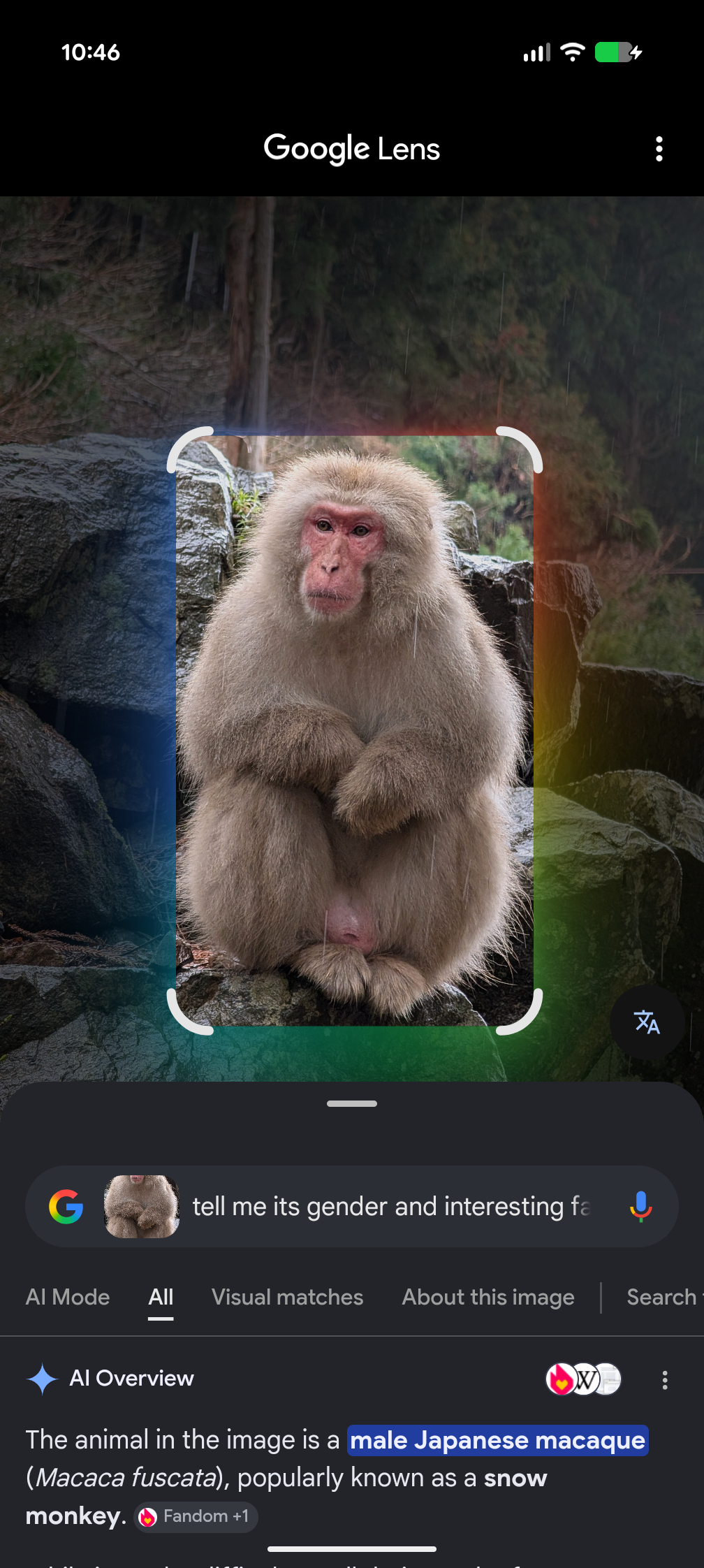 I used Gemini's image analysis on my phone for a week, and it ruined ...