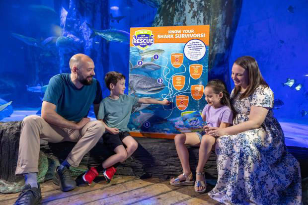 Young ocean heroes wanted as SEA LIFE launches summer adventure in Dorset