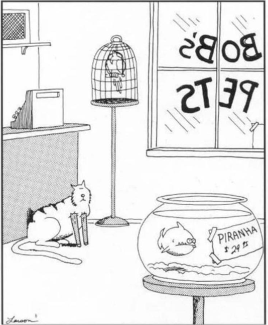 Image via Gary Larson