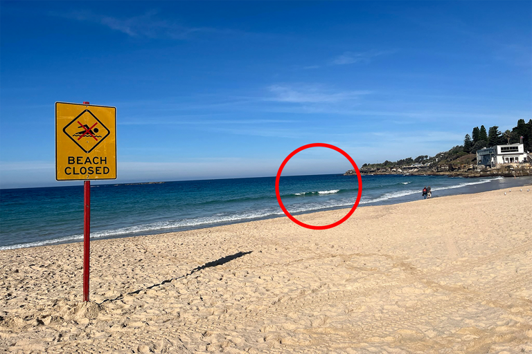Aussies warned of dangerous beach myth after Sydney shark attack