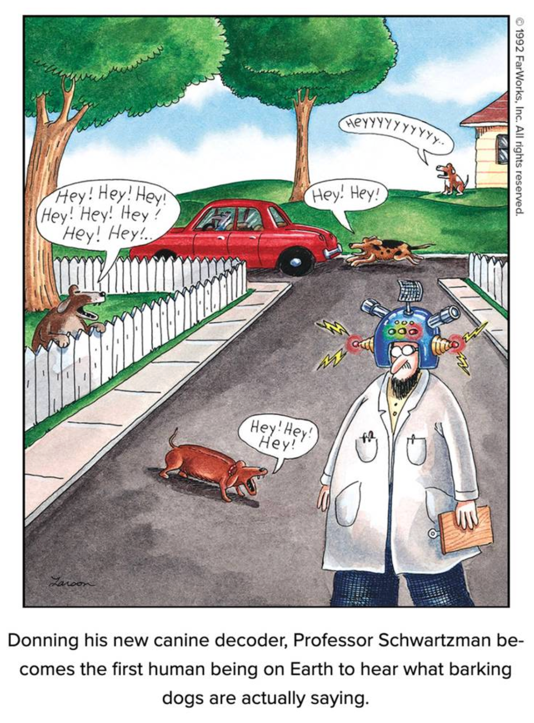 Image via Gary Larson