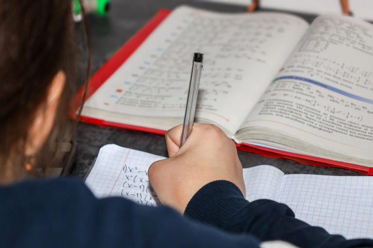 数学は、他の自然科学と比べて「試行錯誤」の面があまり表にあらわれない分野、と考えることもできる photo by iStock