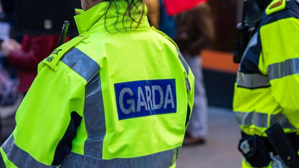 Family in West Limerick help dead hitman's driver flee the area as ...