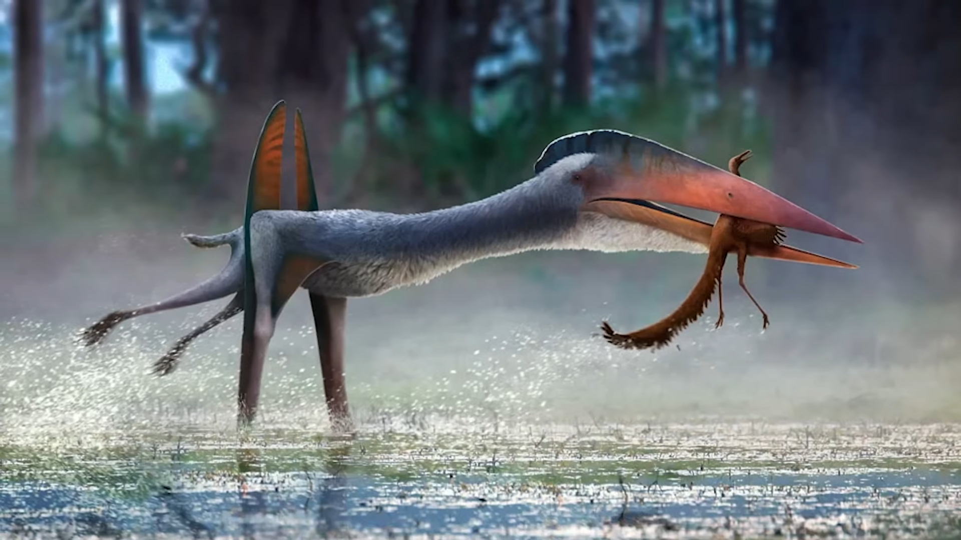 How a giant flying reptile became Europe’s apex predator
