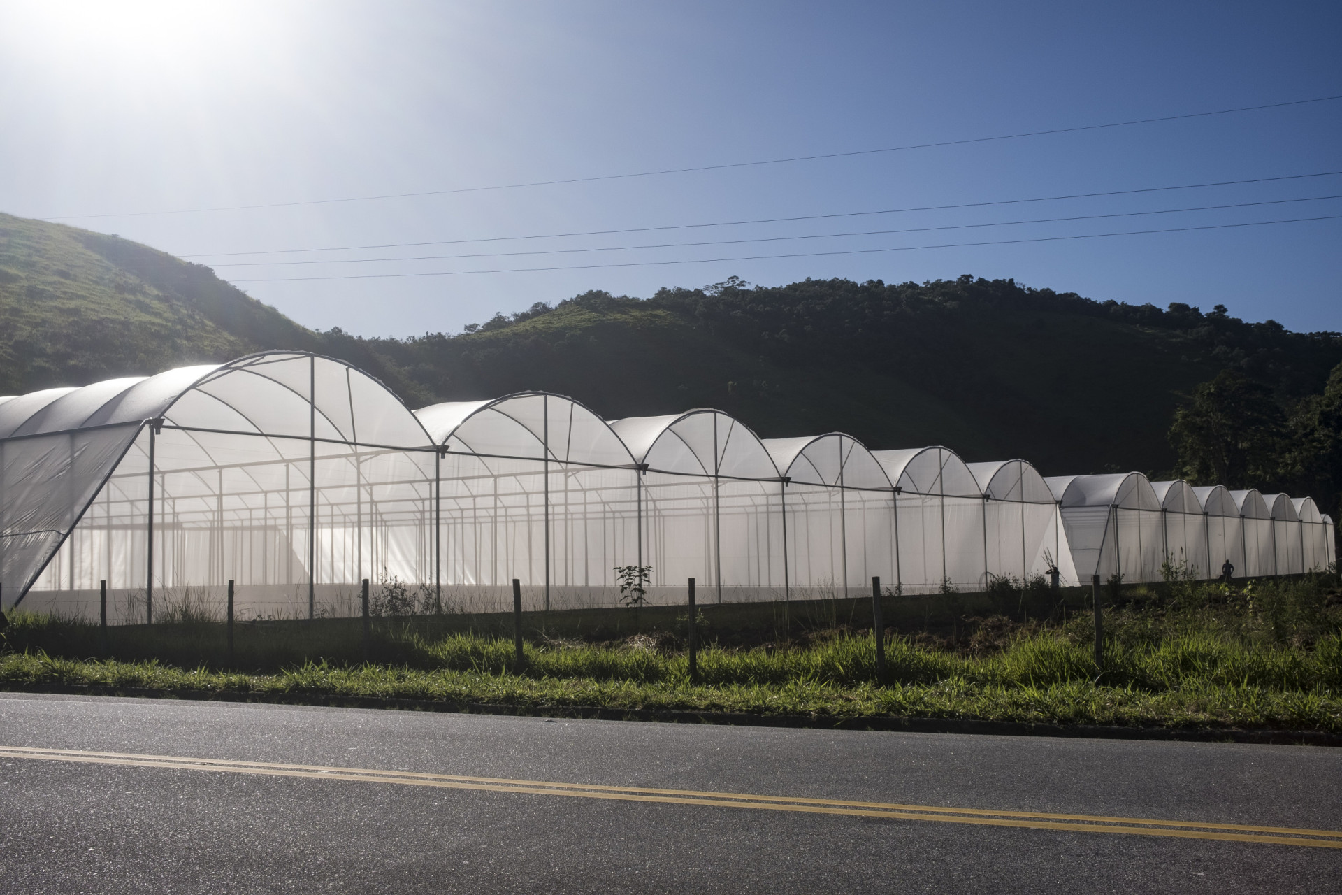 Is plasticulture the future of sustainable agriculture?