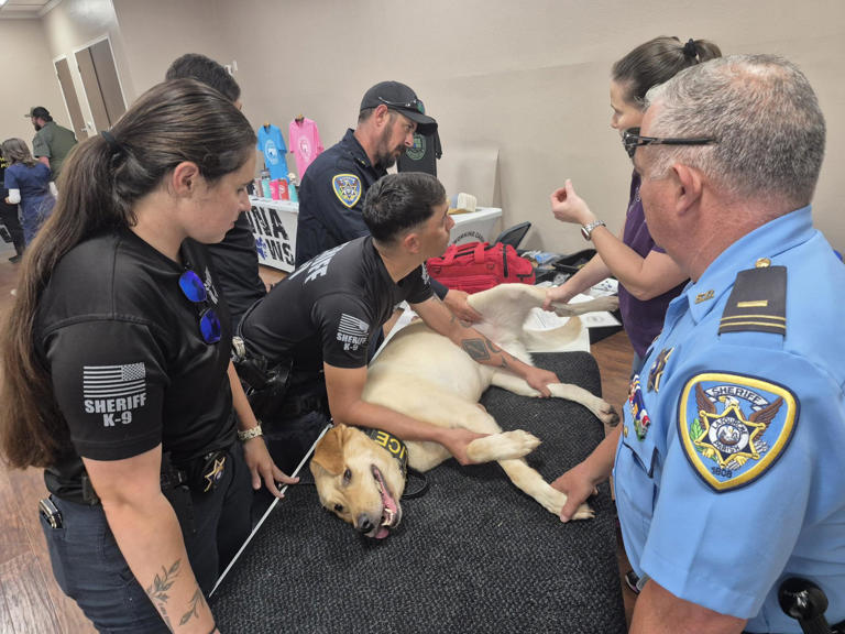 'We revived Otis!' Law enforcement officers learn K9 first aid