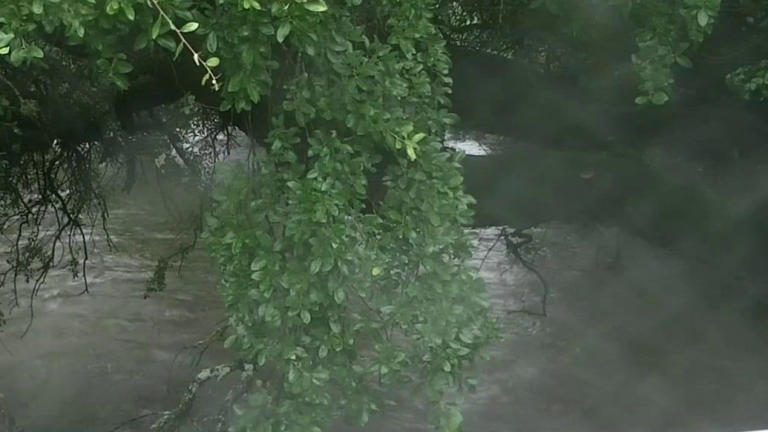 Austin weather: Flash flooding warnings, alerts