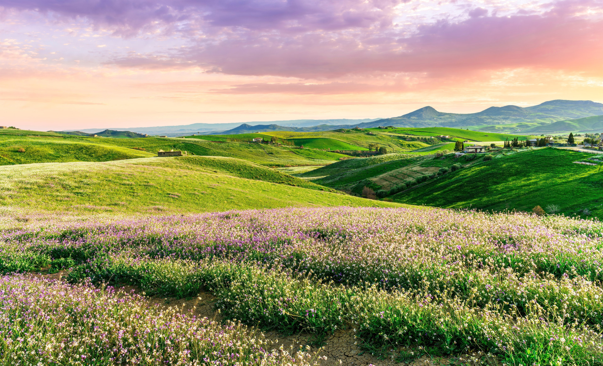 Can grasslands save us from the climate crisis?
