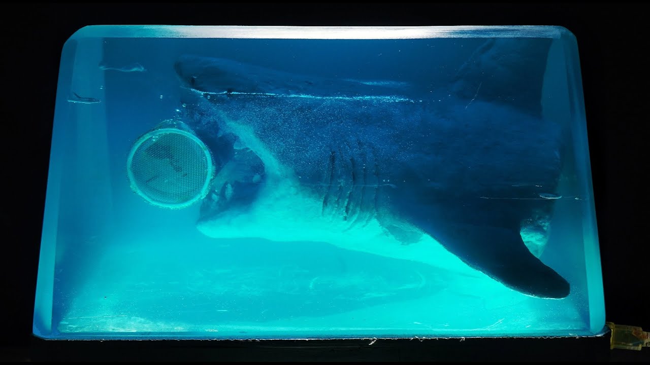 Creating a realistic shark attack diorama inspired by 'The Meg' | Step ...
