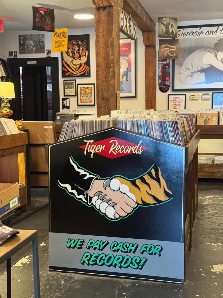 Vinyl is back in style: 5 record stores in Jacksonville worth visiting