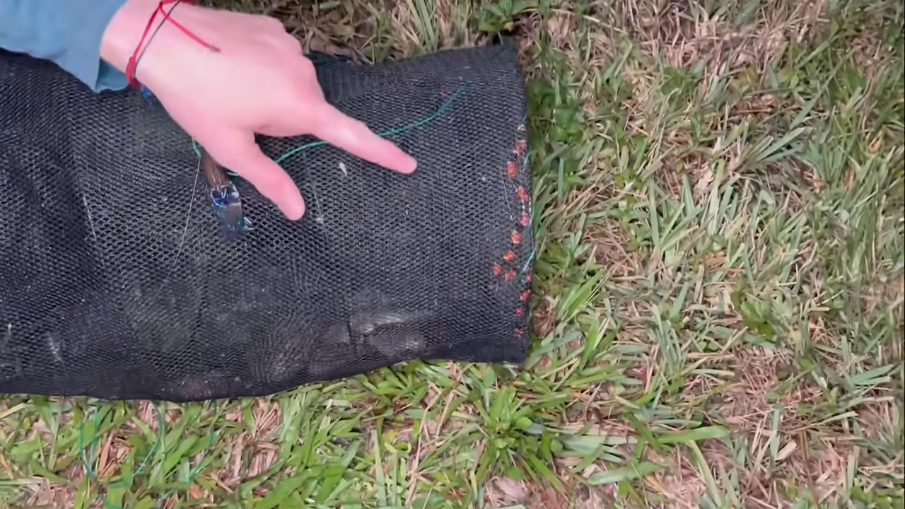 Snakes are discovered in a muddy hole