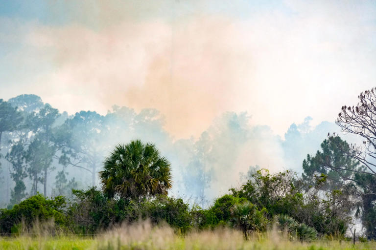 Lightning might have started this Florida brush fire