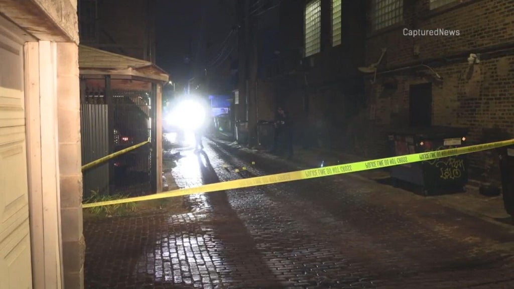 Boy, 17, faces murder charges in shooting that killed teen in Chicago's ...