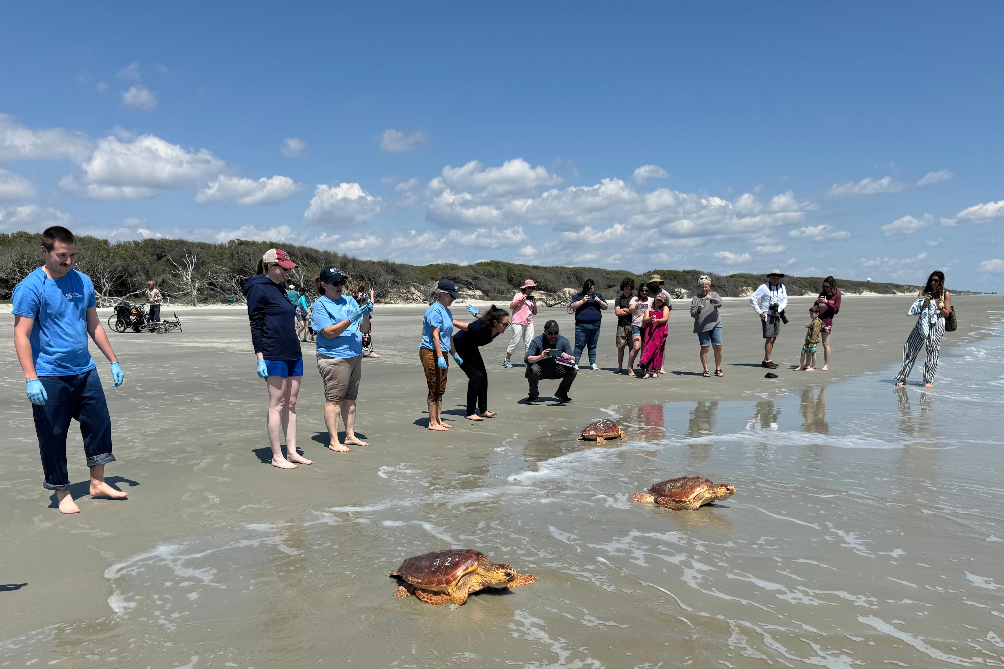 St. Simons Island named top beach town by Southern Living