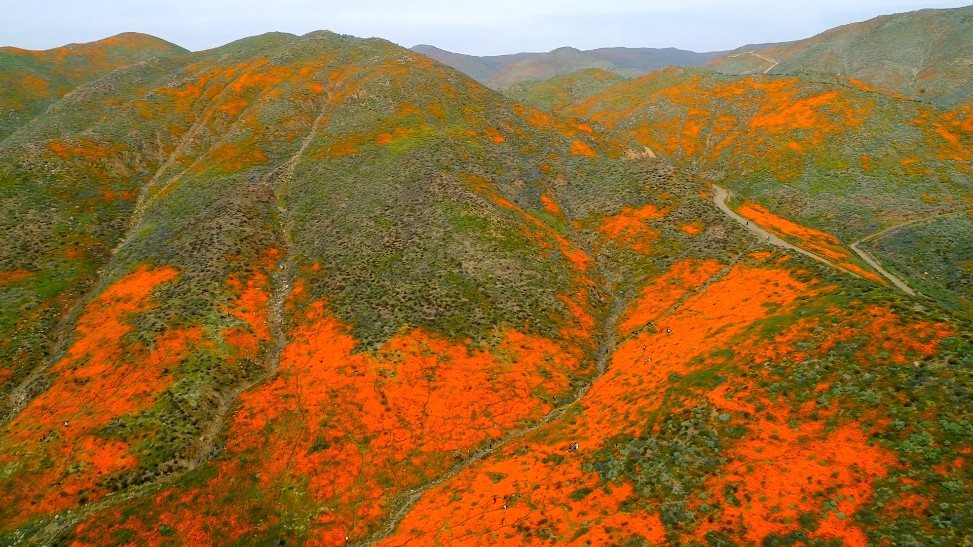 Spring scenes by drone