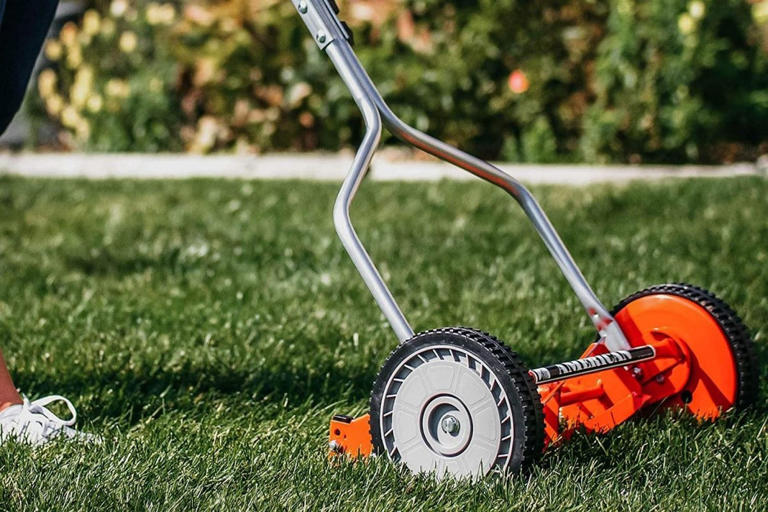 The best push mowers of 2026, tested by lawn-care experts