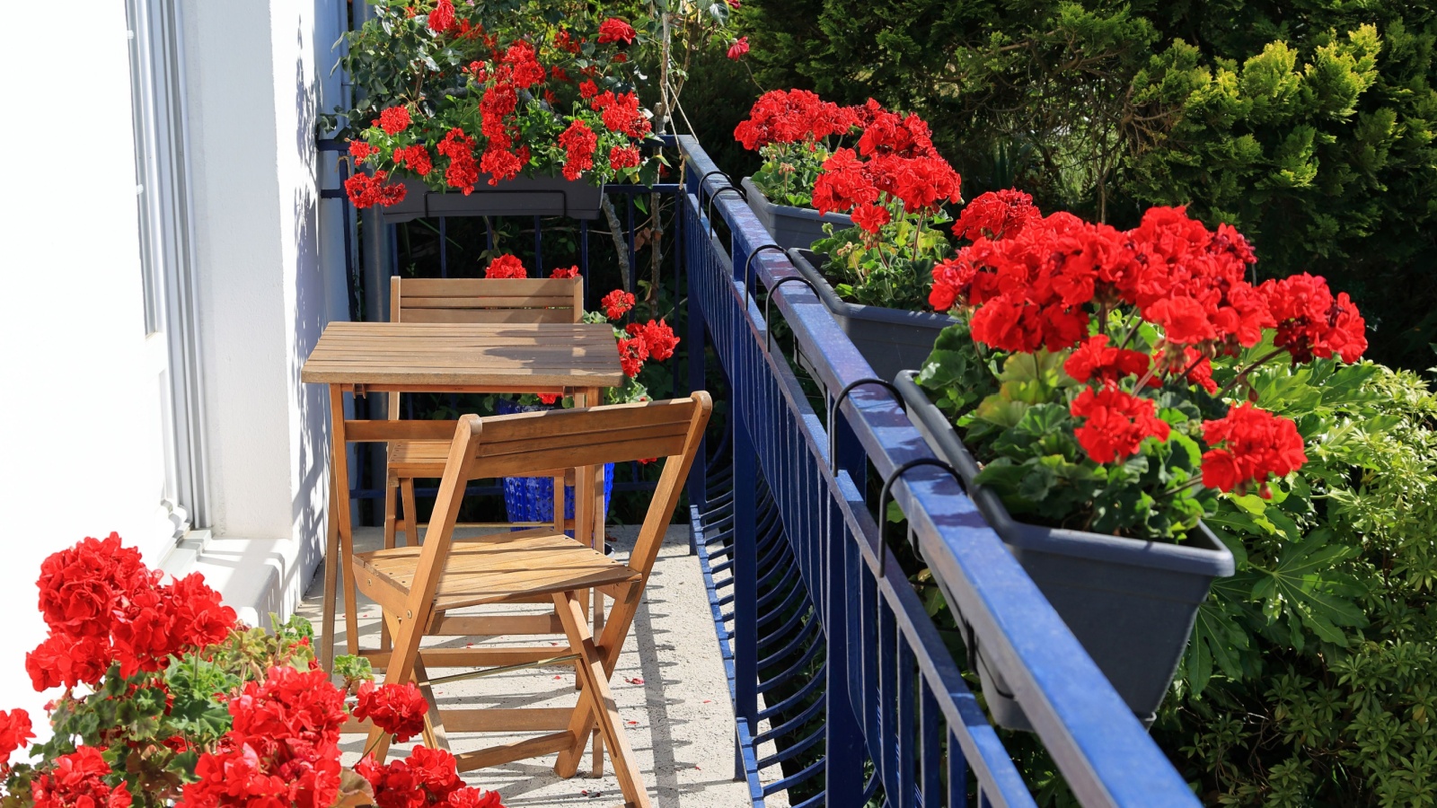 Container gardening is having a massive moment, and here is exactly why ...