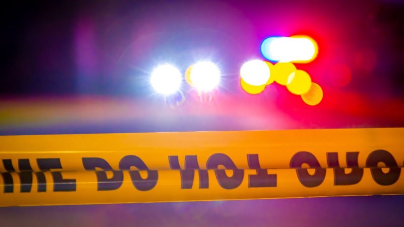 Inmate crashes transport into Putnam County courthouse port gate