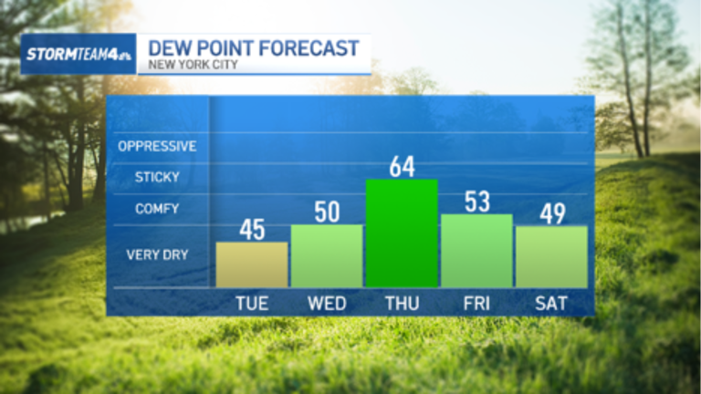 Don't rain on our parade: Wet, warm weather possible for Knicks ...