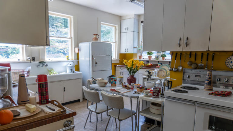 Everyone owned it in the '60s and '70s: The appliance color we're glad ...